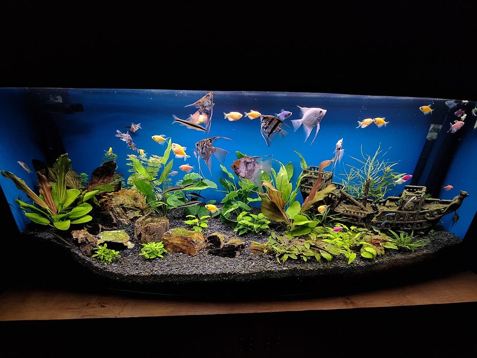 Akwarium 360l panorama