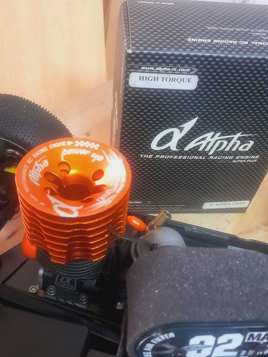 Buggy Hot Bodies d815