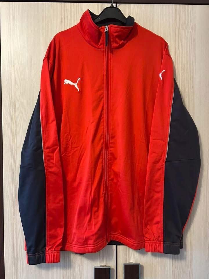Dres orginalny puma