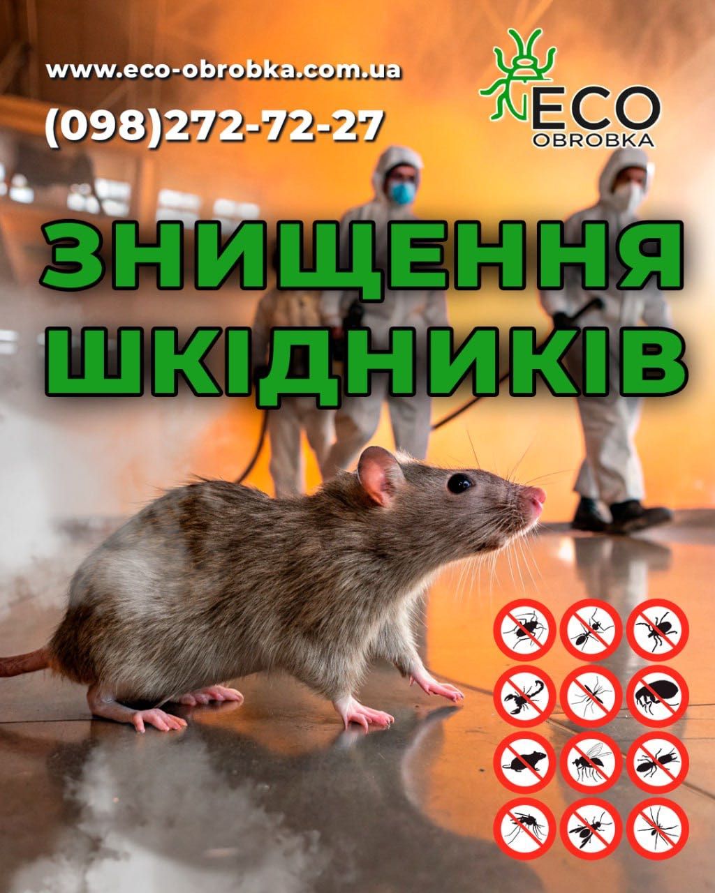 травля тараканов клопов блох , уничтожение грызунов ос ХОЛОДНЫЙ ТУМАН!