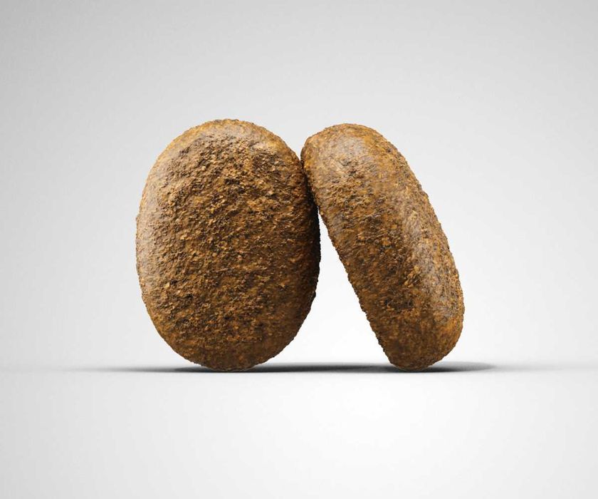 -25% JOSERA Optiness 12,5кг Корм для собак. Йозера Оптінес, Оптинес