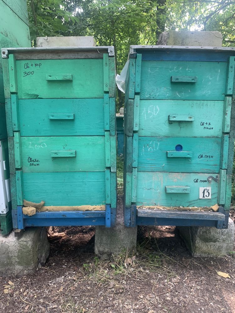 Продам улья вертикальные по 5 шт корпусов, бидоны