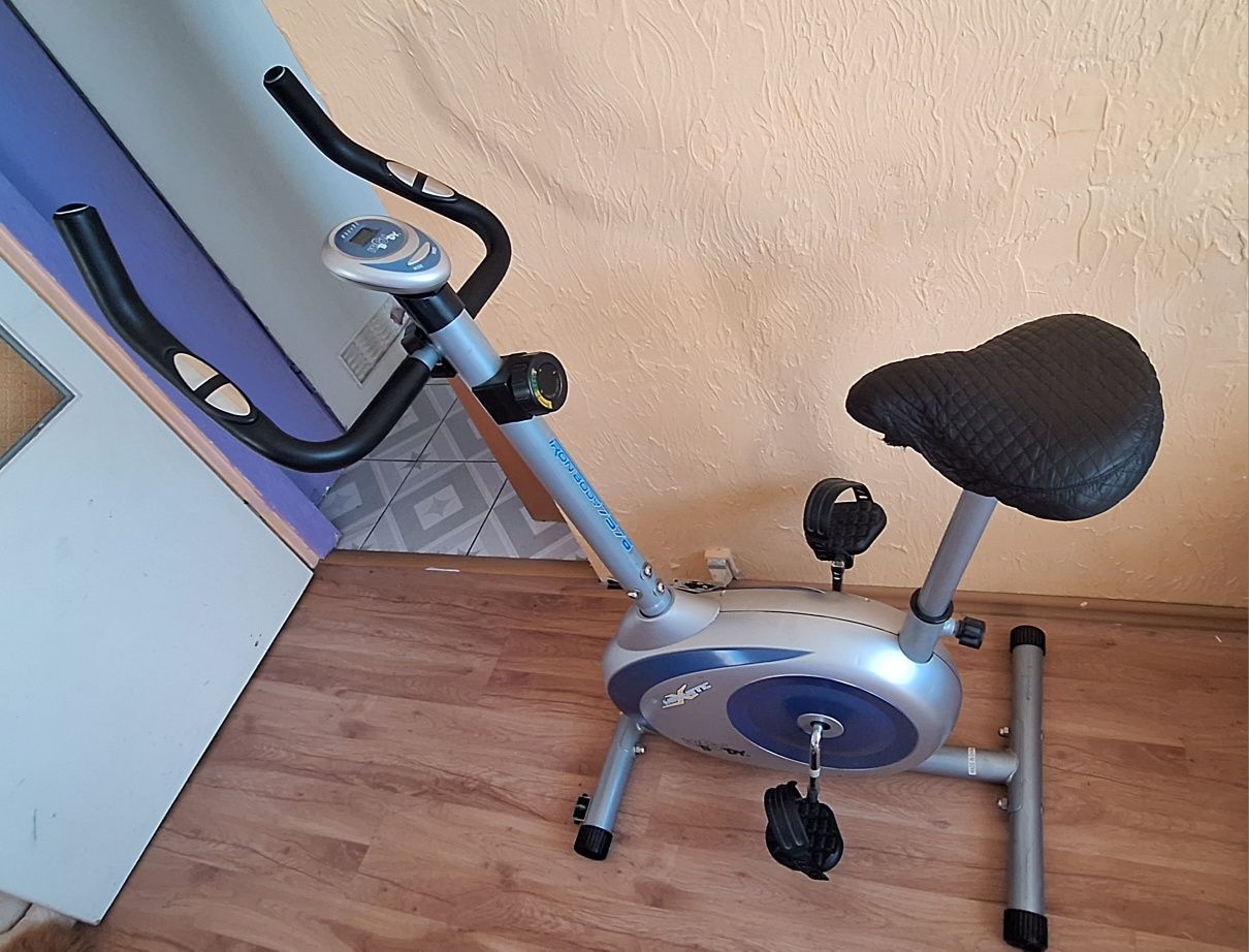 Rower stacjonarny magnetyczny Iron Body 7576