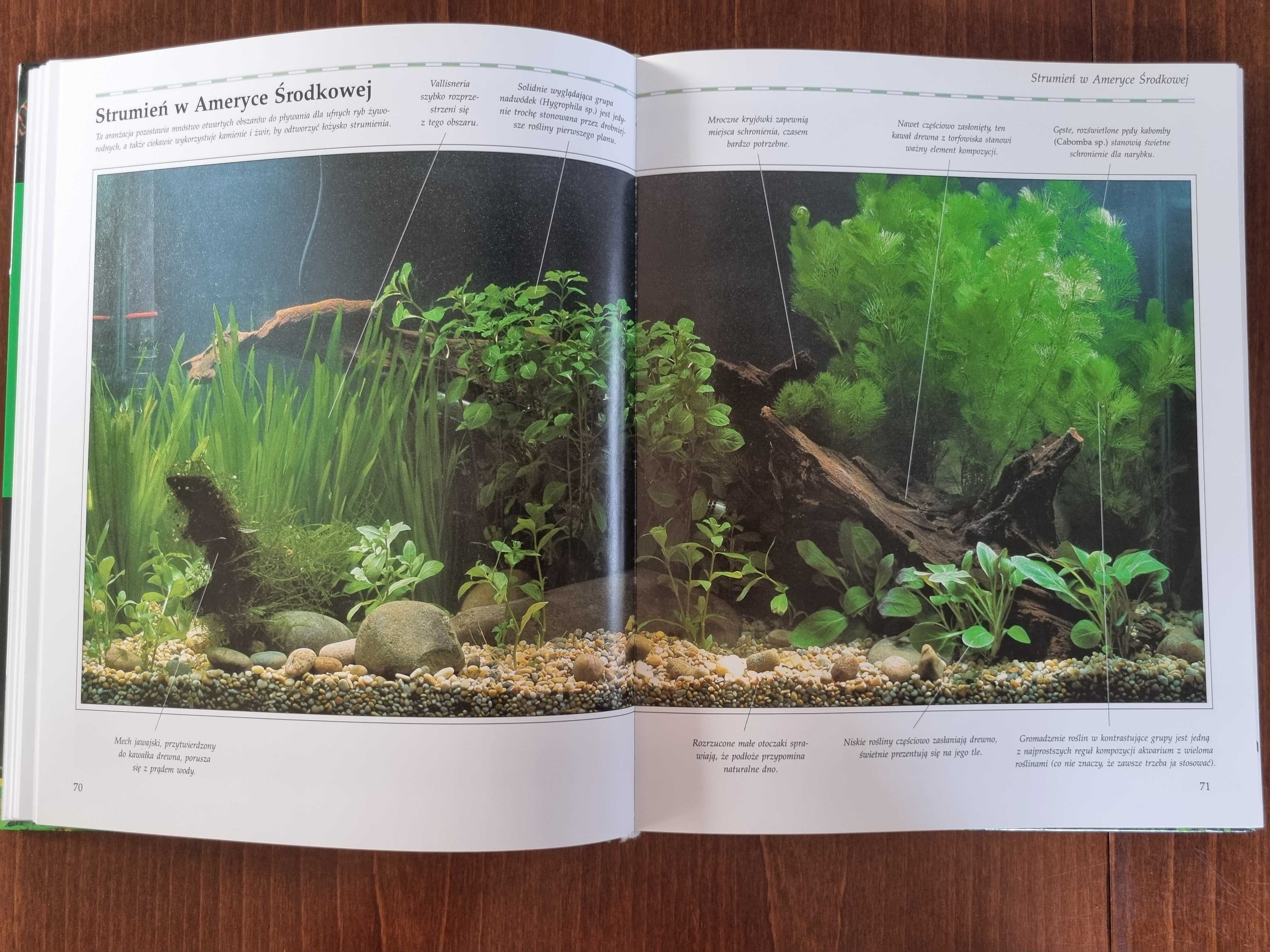 Akwarium inspirowane naturą - Peter Hiscock książka poradnik album