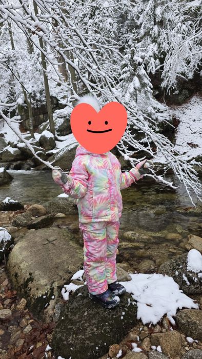 Комбінезон зимовий The children's place