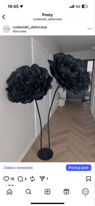 Kwiaty giganty peonie ślub urodziny kwiaty z krepy