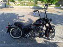 Harley Davidson softail