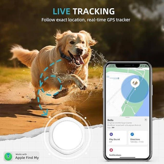 GPS-трекер для собак. Мини-устройство с GPS-трекером и ошейником