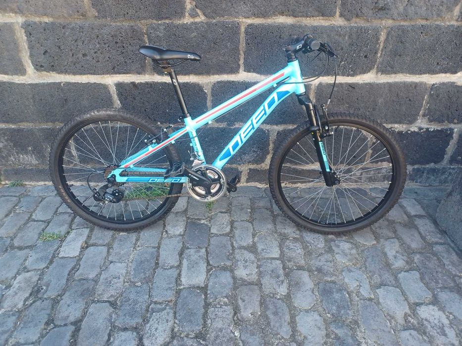 Bicicleta de montanha roda 24