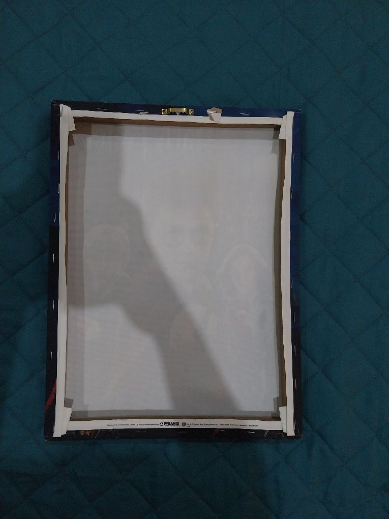 Quadro Harry Potter