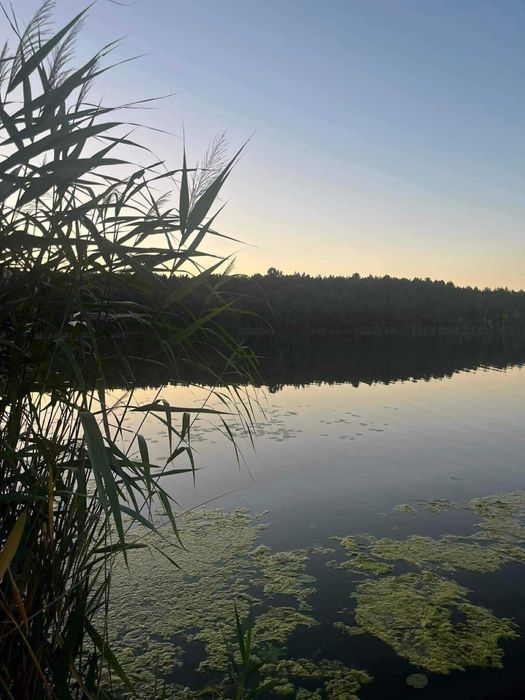 Dzialka budowlana 45 minut  od Warszawy