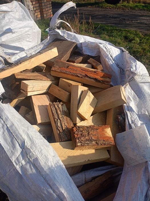 Opal dąb jesion topola