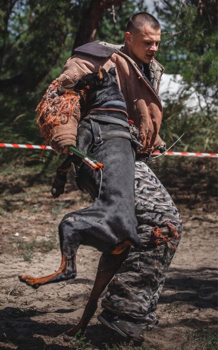 Кінолог/дресирування собак