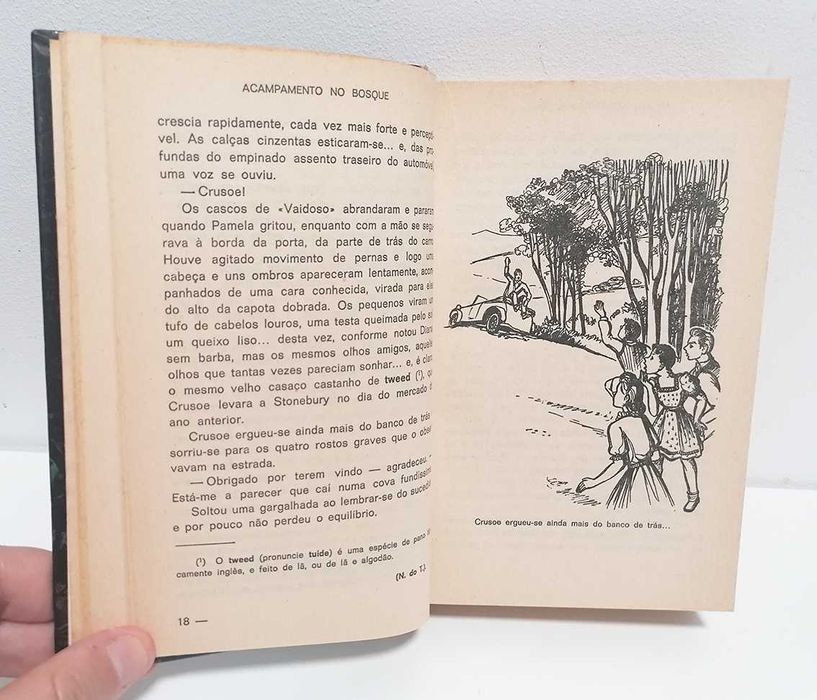 Acampamento no Bosque, de David Severn