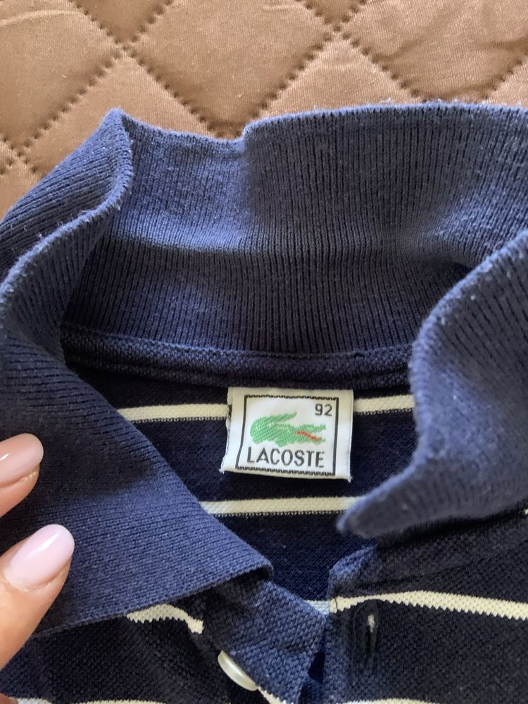 Polo menino 4 anos Lacoste
