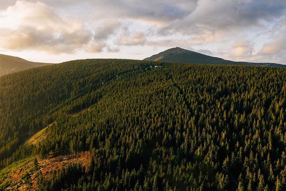 Drewniany domek z sauną 6 os Góry Karkonosze Wakacje