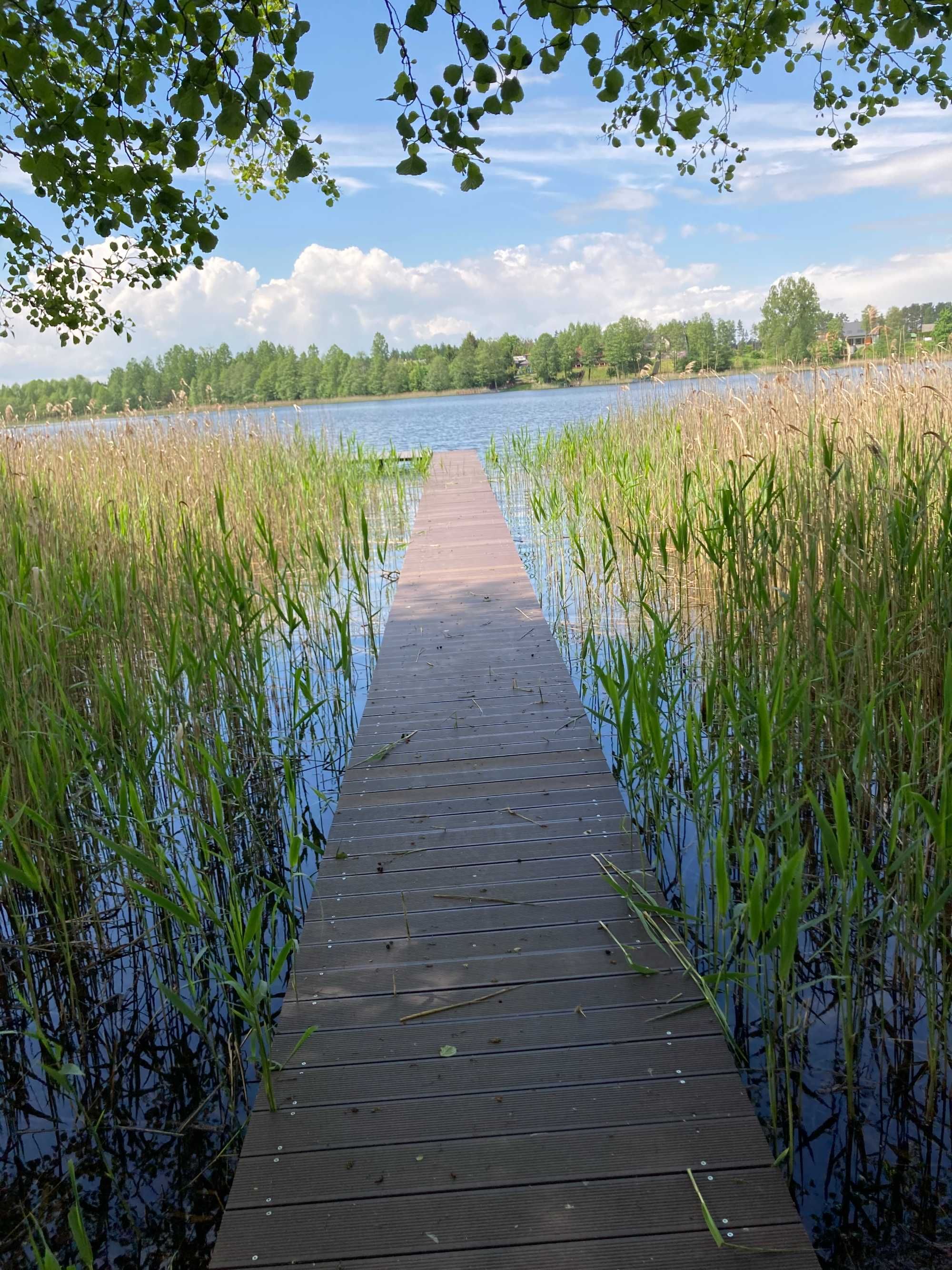 domek nad jeziorem Pobojno Płaska - perła ukryta w Puszczy
