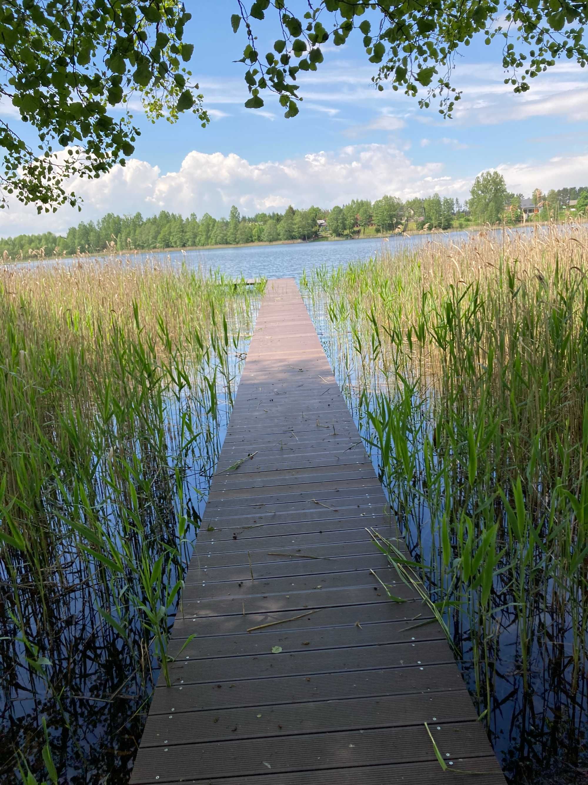 domek nad jeziorem Pobojno Płaska - perła ukryta w Puszczy