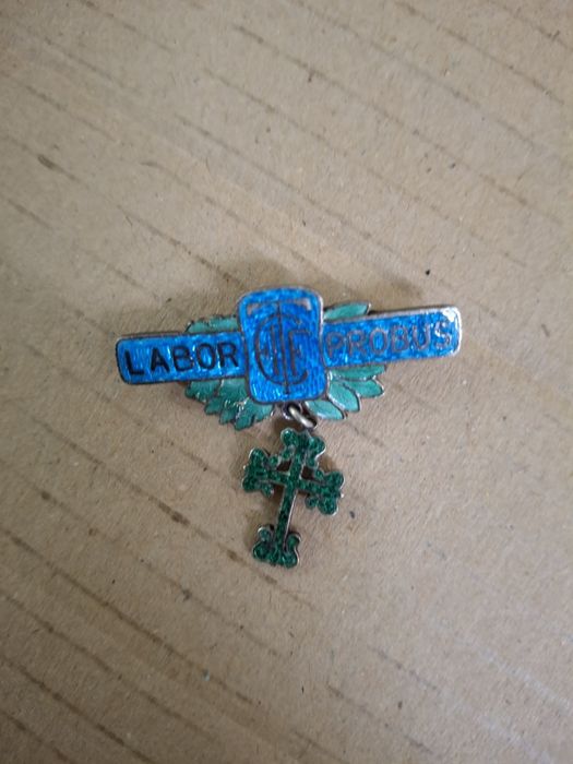 Instituto Odivelas pin muito antigo