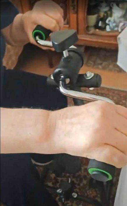 Procura-se Cuidadora para Idosa com Alzheimer