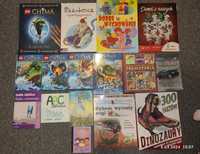 Zestaw książek dla dzieci i młodzieży LEGO Chima bajki piłkarze
