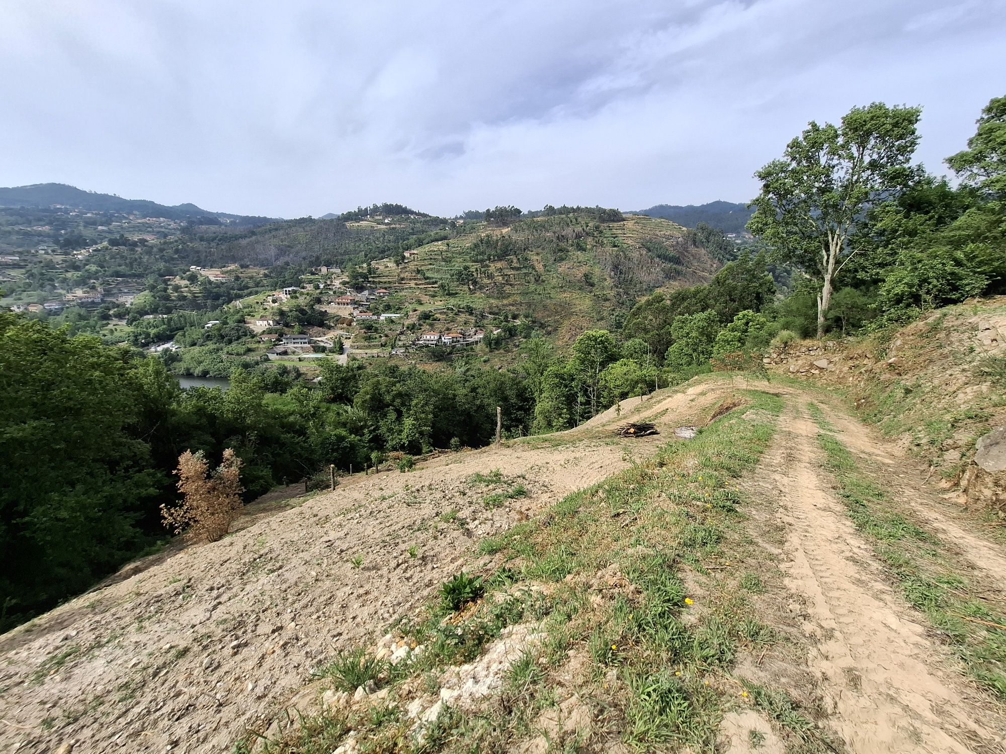Ruína de moinho, ribeiros, nascente e vista Douro - 3.860m² - Cinfães