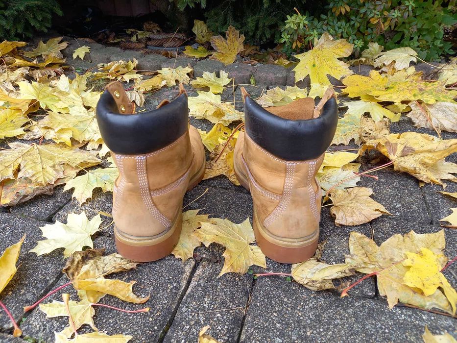Buty zimowe trapery Timberland 6 Inch Premium rozmiar 41,5 US 7,5