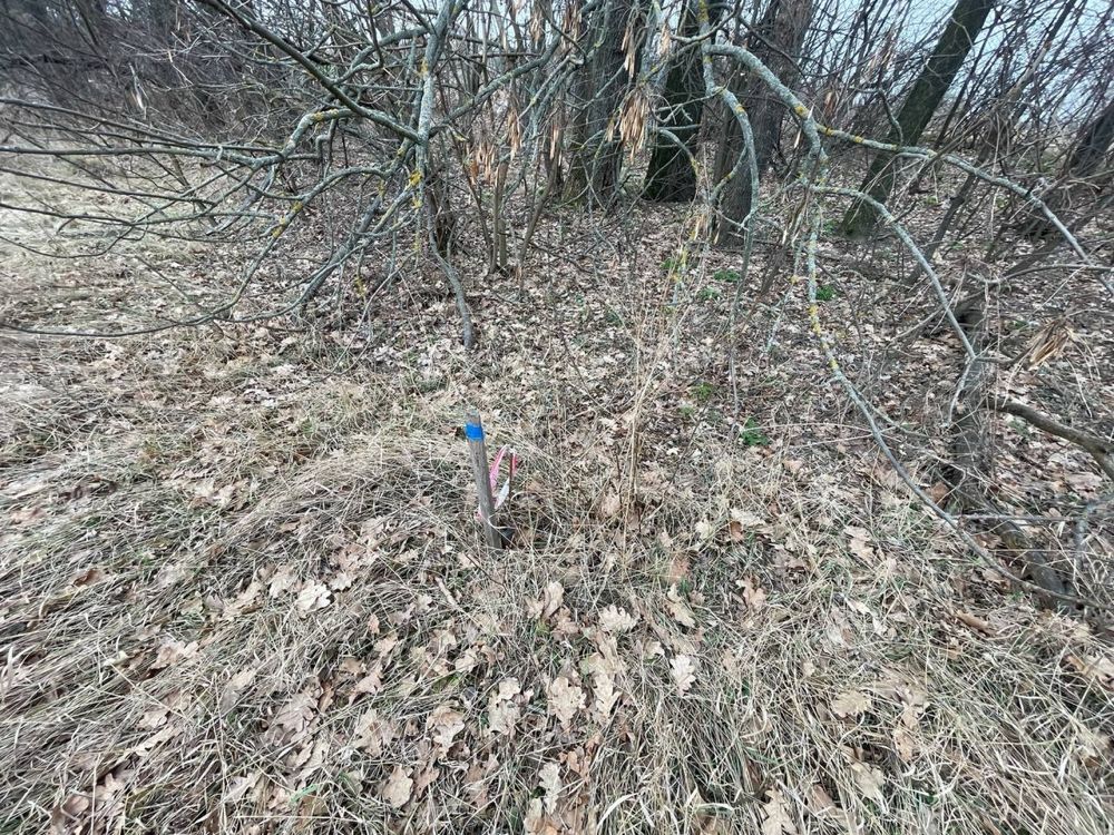 Продам ділянку 12 соток с.Хотів
