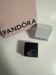 Pendente para Pulseira Pandora