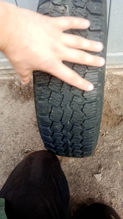 Продам скат БЦ20 з діском