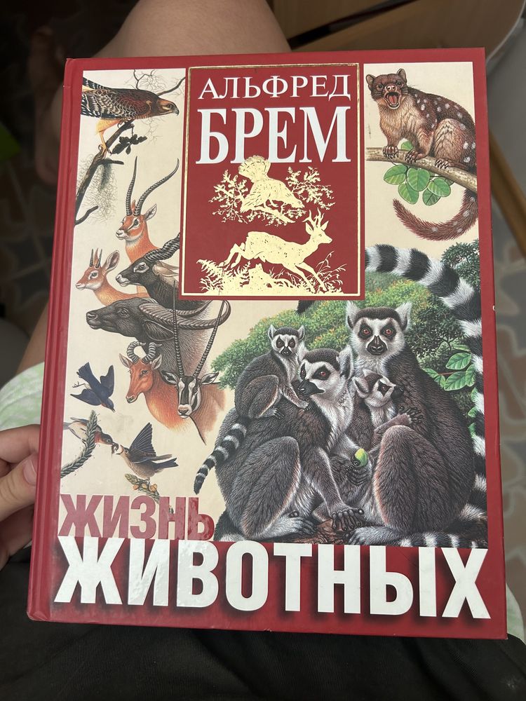 Книги, енциклопедії, підручник