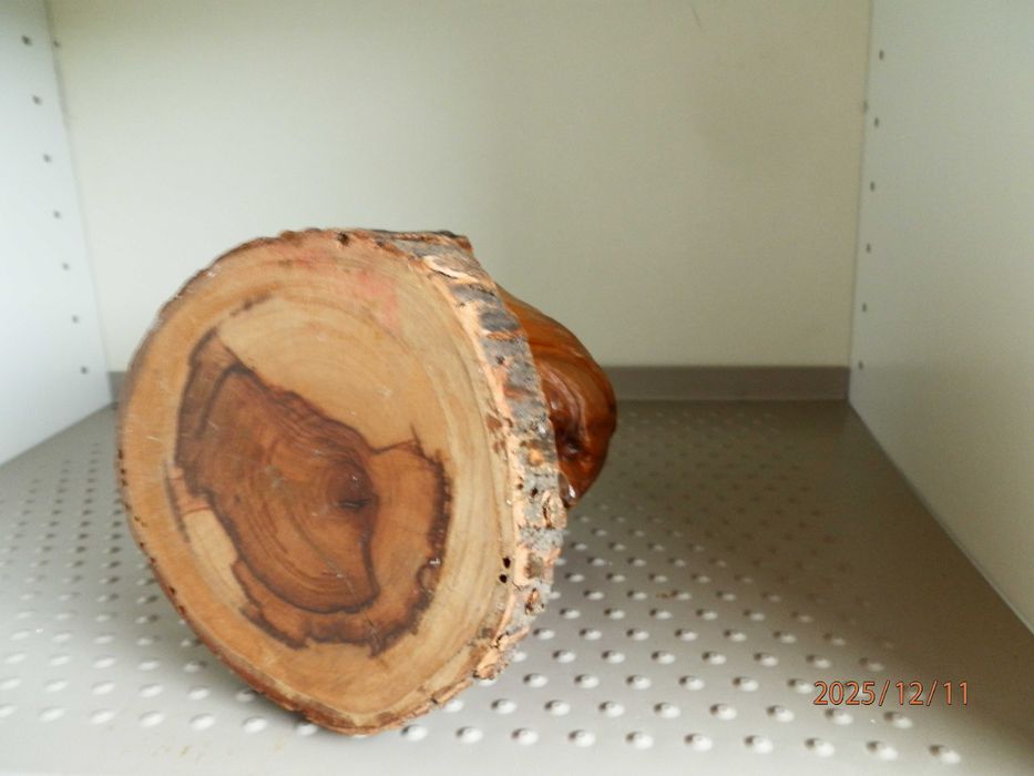 Busto Sculpido    ( Madeira  - Oliveira ?  )