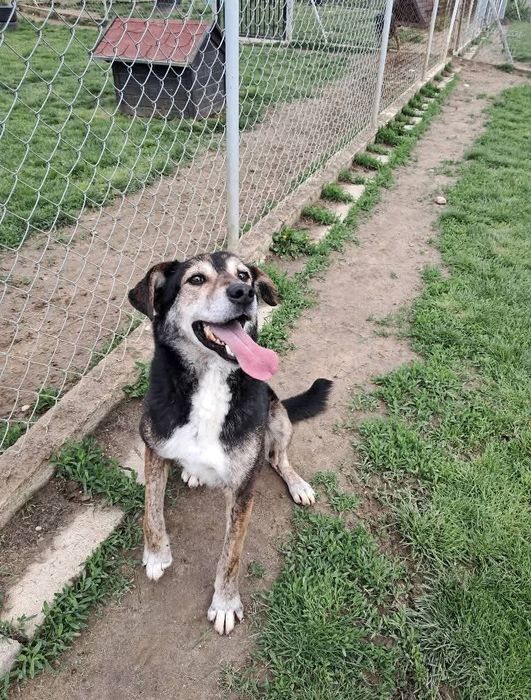 Kto pokocha Ramzesa?