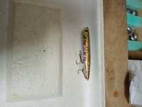 Amostras de pesca