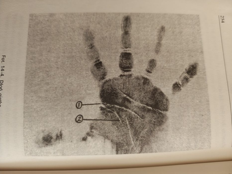 Chiromancja. Analiza dłoni