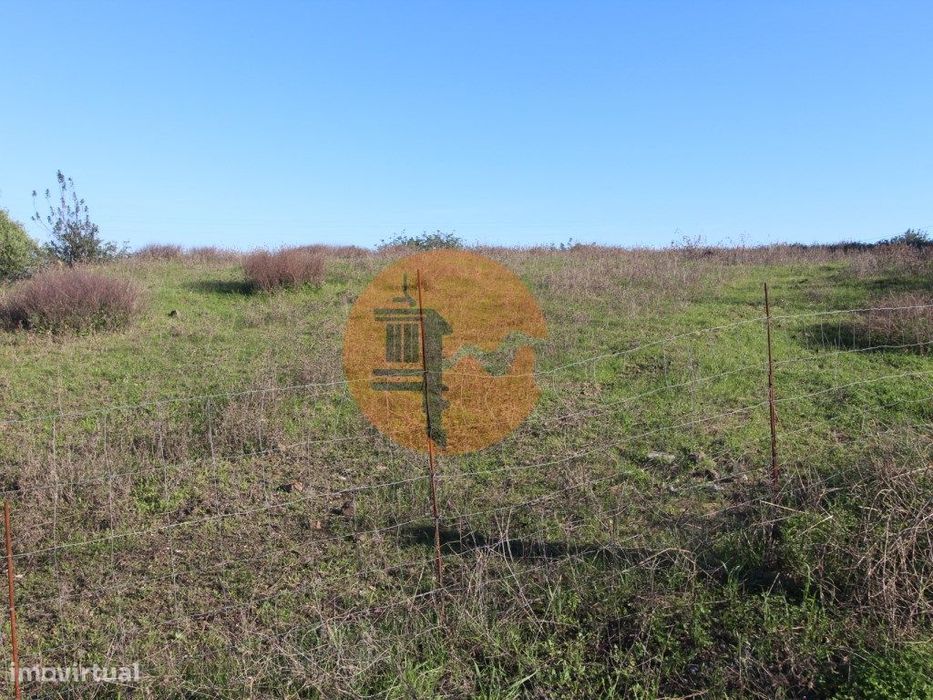 Terreno industrial para arrendamento