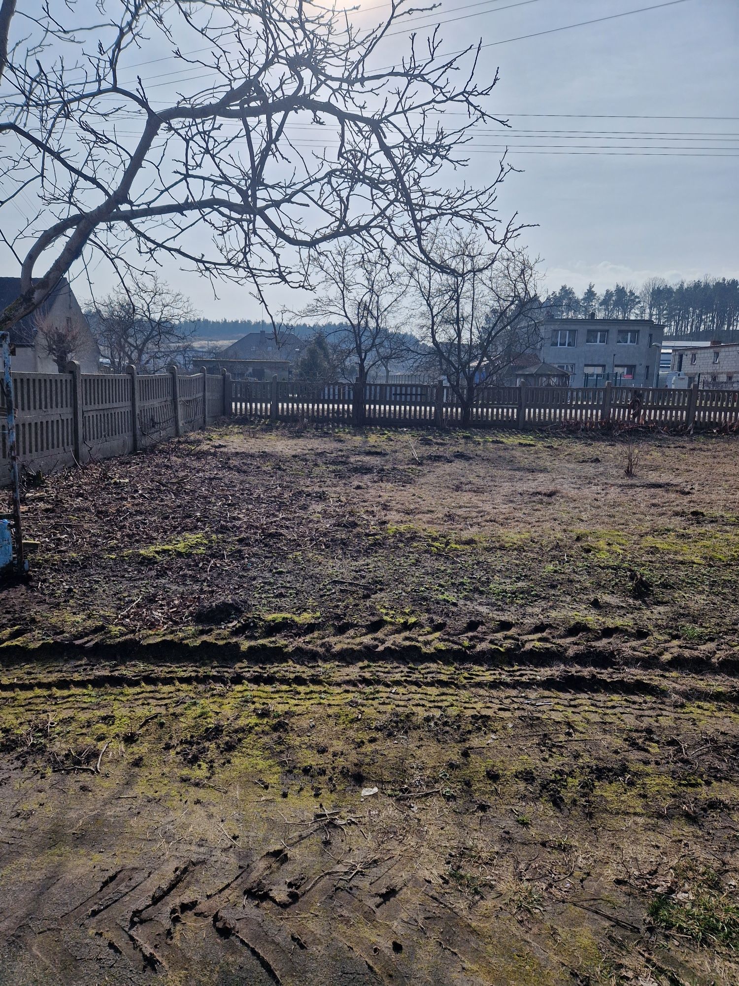 Sprzątanie działek, wyburzenia,rębak,wycinka drzew