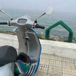 Vespa Elettrica 45