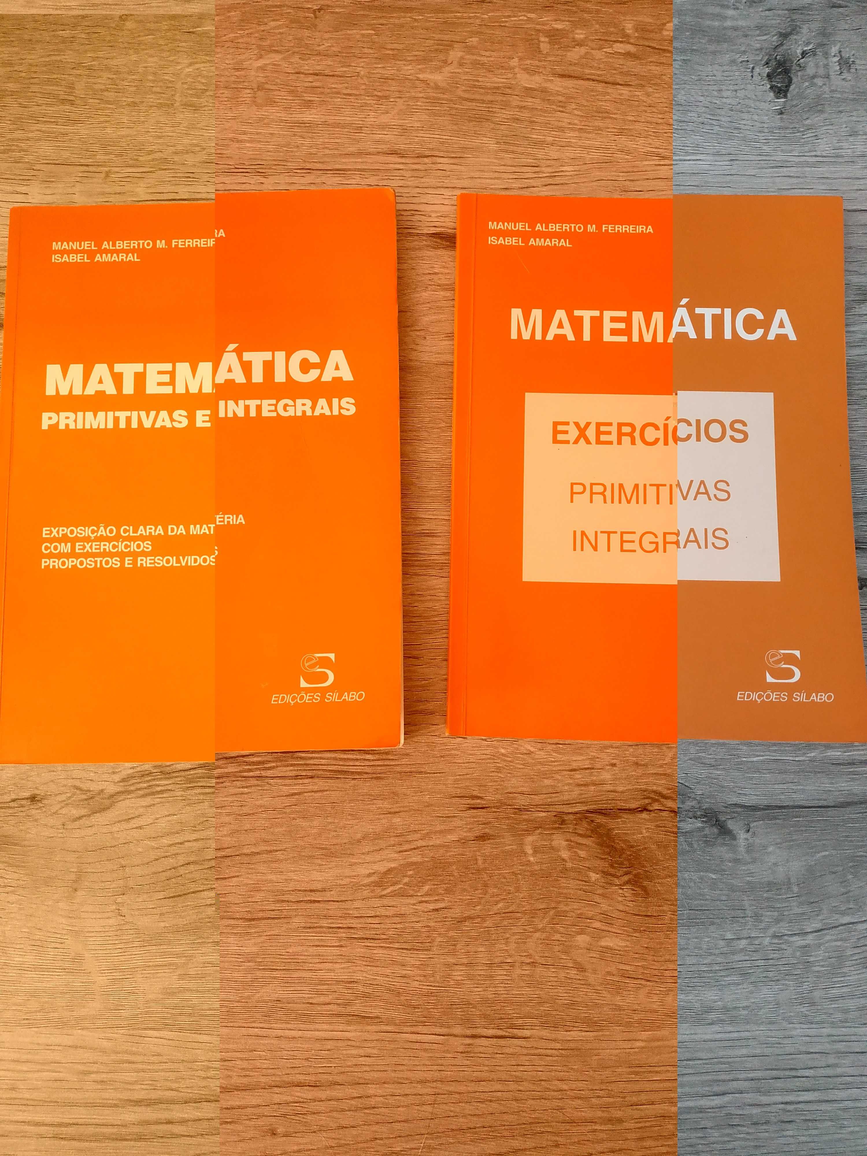 Matemática - Primitivas e Integrais + Exercícios