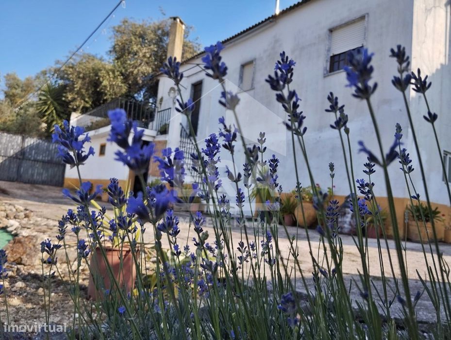 Moradia em Casais do Agrão com 6480m2