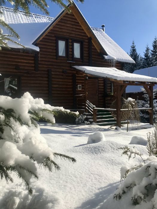 Затишний котедж на 6-8 гостей с гарним розташуванням біля лісу