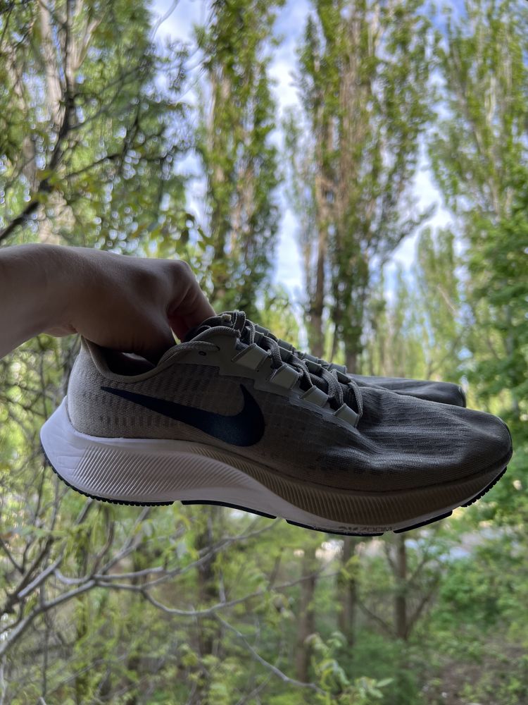 Спортивные кроссовки Nike Air Zoom Pegasus 37 (найк)