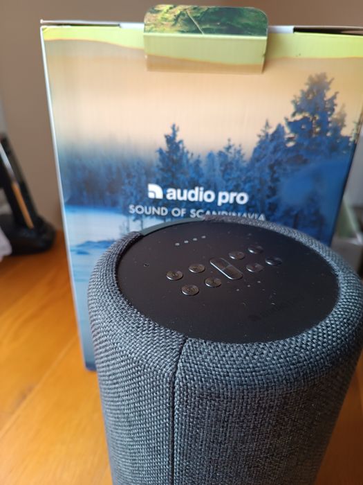 Głośnik Audio Pro G10