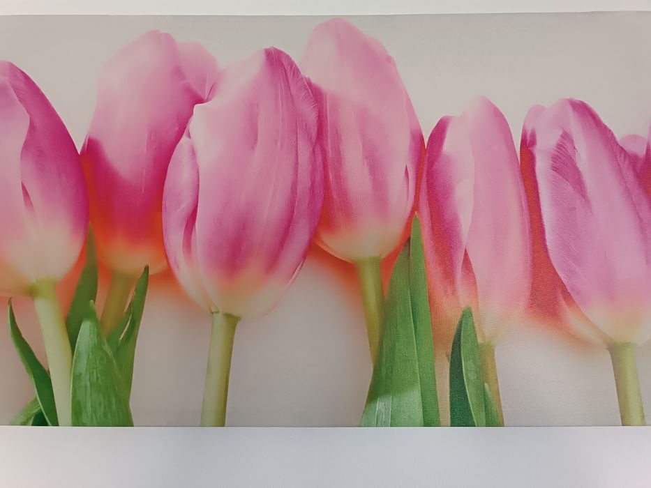 Obraz tulipany  45x140