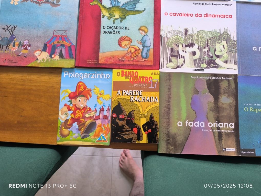 Lote de 15 livros 12€