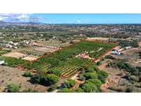 Terreno com casa rústica com projeto aprovado em Fonte Santa
