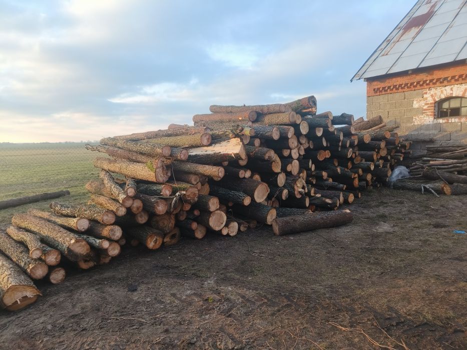 Opał, drewno opałowe, olszyna, olcha.