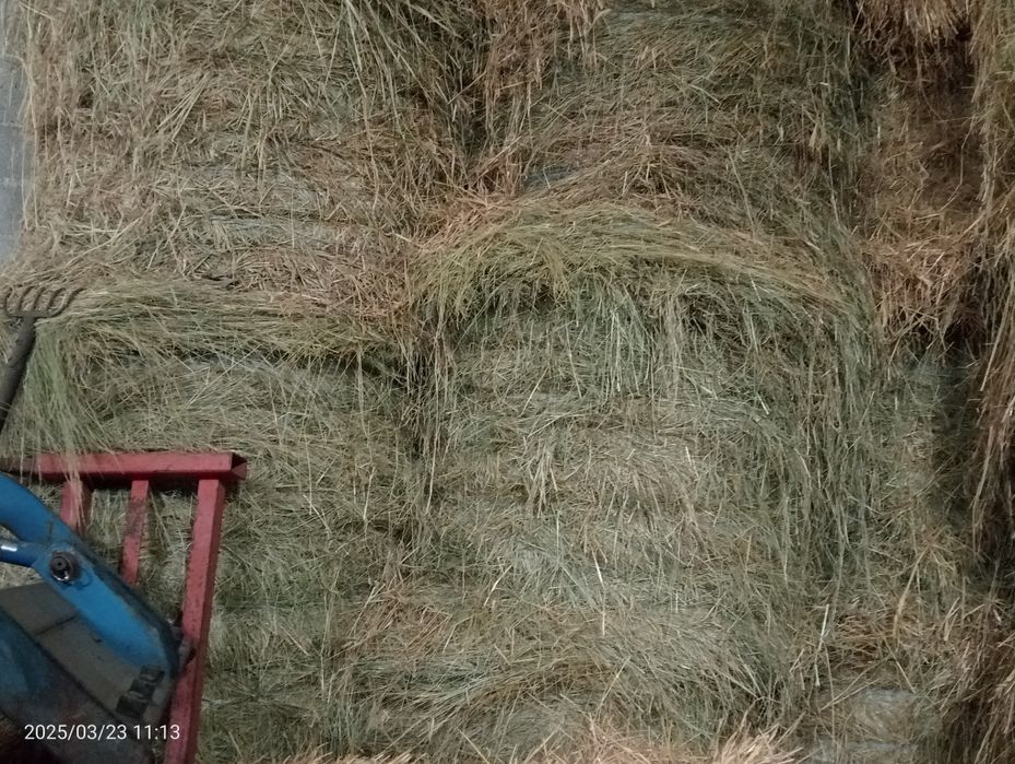 Venda de rolos de feno bravo