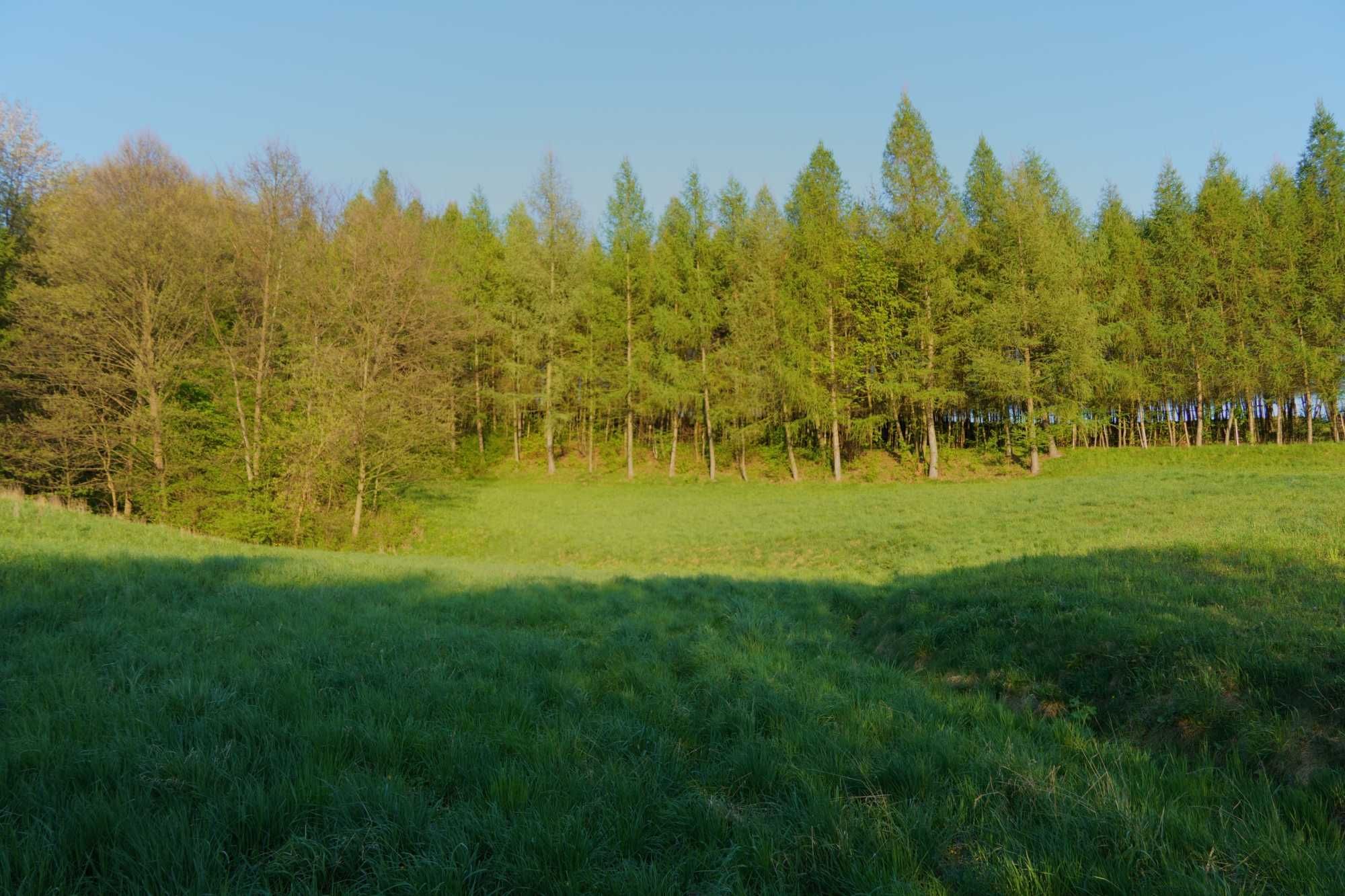 Działka budowlano-rolna 57,9ar w Tuchowie.