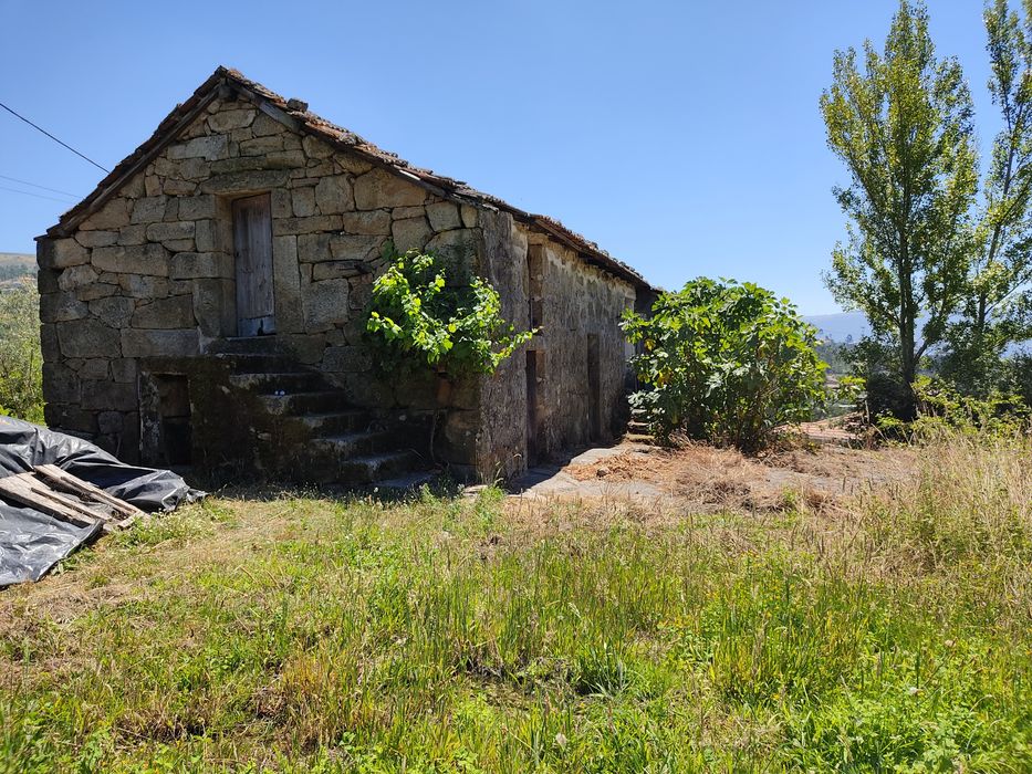 Quintinha rurall
